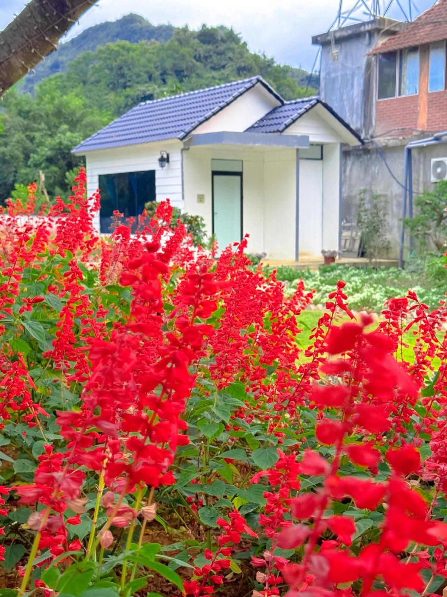 Moc Chau House Hotell Eksteriør bilde